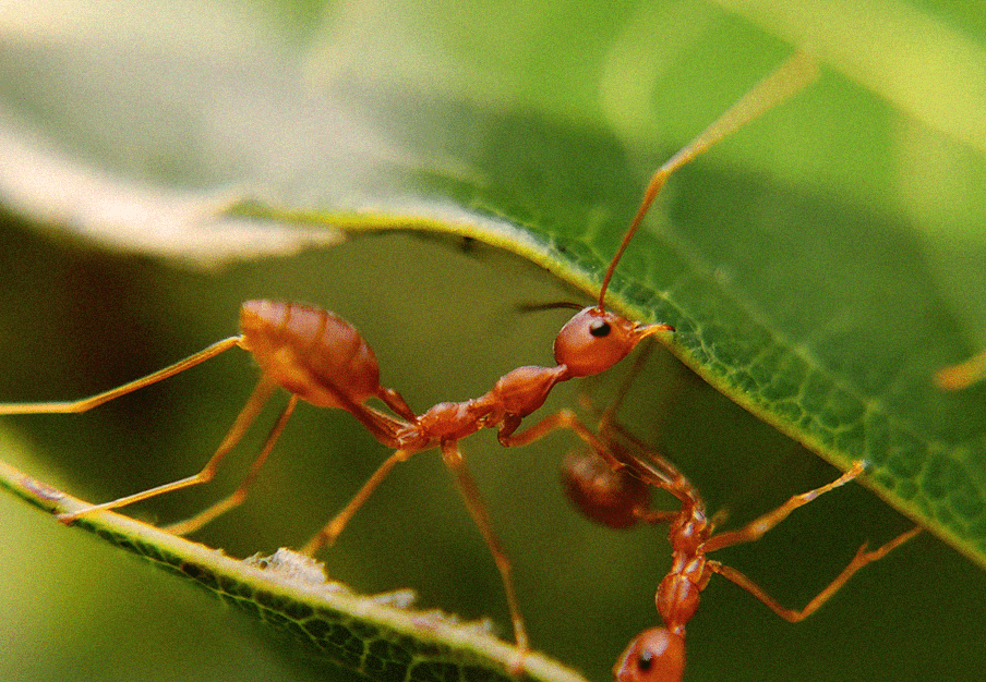 Qualita Engenharia e Gerenciamento Ambiental Ltda